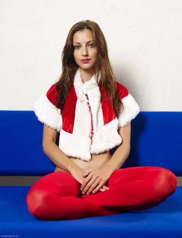 Image #7 from the gallery Anna S red and blue christmas